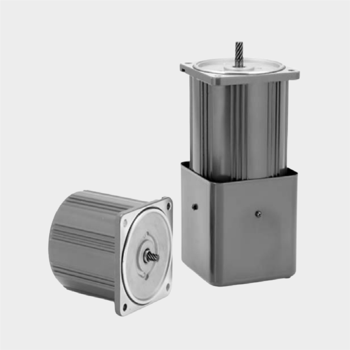 variable-reversible-speed-motor